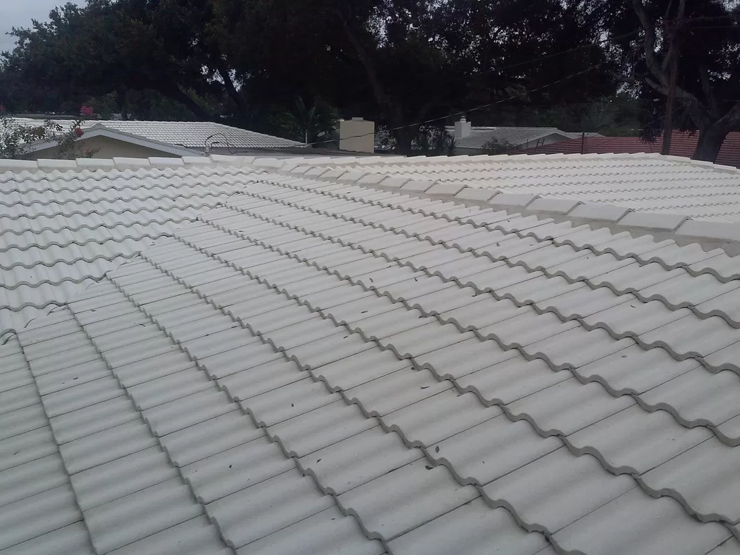 Roof Cleaning in Tequesta, FL